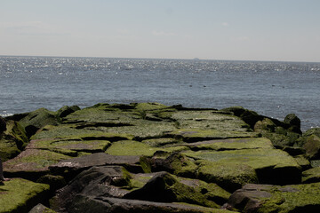 This is an image of the beautiful black rocks of the jetty. Emerald green moss is growing on them that catches the sun and almost shimmers. The water can be seen in the background a bit.