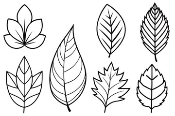 Leaf bundle art illustration ideal for nature and plant-inspired projects