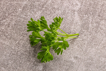 Wall Mural - Green parsley leaves heap isolated