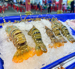 Wall Mural - Shrimp and crayfish on ice at the market.