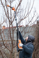 Sticker - Gardener prunes branches of a tree in the garden with using long reach pole electric battery powered pruning secateurs, shears. Professional gardener with a long professional garden tools at work.