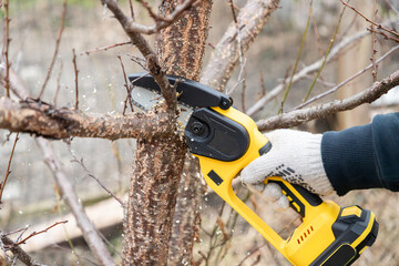 Sticker - Gardener's hand cuts branch on a tree, with using small handheld lithium battery powered chainsaw. Season pruning. Trimming trees with chainsaw in backyard home. Season cut tree.