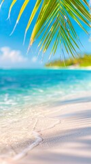 sandy beach with palm trees with blurred blue ocean in background