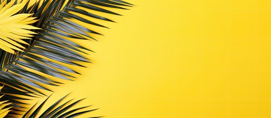 Leinwandbilder - Top view of tropical palm leaves on a vibrant yellow backdrop with ample copy space image, embodying a summer-themed flat lay concept.