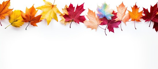 Wall Mural - Decorative border with colorful fall leaves on a white background, featuring copy space image.