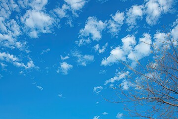 a blue sky with clouds and a tree in the foreground