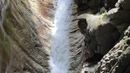 Wall Mural - Waterfall in the forest in summer. River with stones.