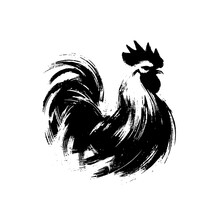 rooster; chicken; hen in illustration in brush stroke painting,