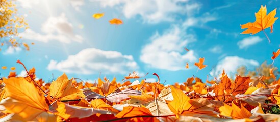 Leinwandbilder - Vibrant leaves scattered in a park, symbolizing the fall season with a backdrop of a clear blue sky and fluffy white clouds, perfect for copy space image.