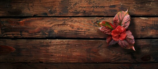 Poster - A leaf of a flower placed on a wooden table with a copy space image available.