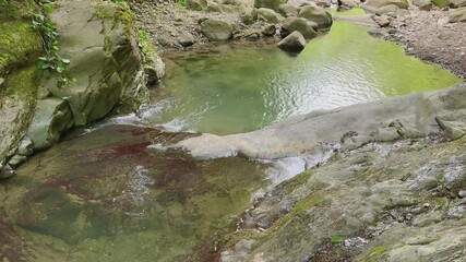 Sticker - Mountain river in the forest in summer.