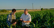© StockMediaSeller - Two farmers working in a field, using a laptop and a tablet. Technology in agriculture