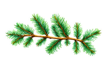 Poster - Watercolor Illustration of a Green Pine Branch Isolated on White Background