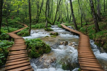 A wooden boardwalk built along the valley stream