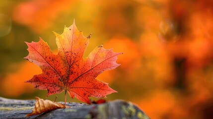 Wall Mural - Part I Leaf component in card format