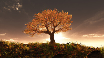 Wall Mural - tree spring in meadow sunset