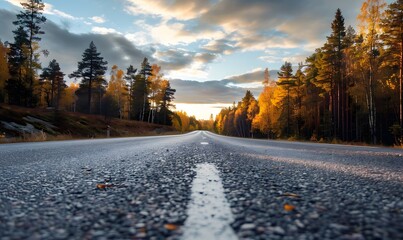 Sticker - Swedish Autumn Road with Sunset and Forest