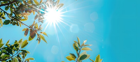 Wall Mural - Bright Sunny Day with Lens Flare and Tree Leaves