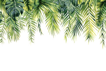 Sticker - PNG  Palm leaves nature outdoors plant.