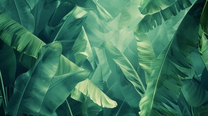 Poster - Plantains on a floral background with green ribs.
