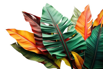 Sticker - PNG  Tropical tropics leaves plant.