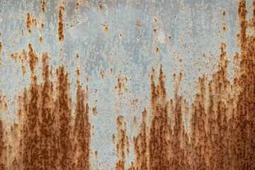 Wall Mural - Texture of a rusty blue painted metal panel with traces of rust