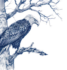 Poster - PNG Vintage drawing eagle on tree sketch illustrated vulture.