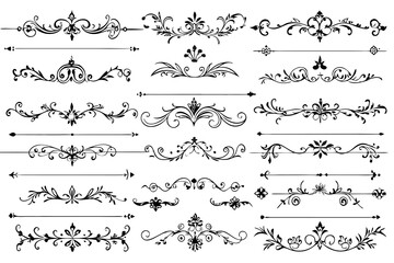 beautiful graphic with a black elegant plant ornament on an isolated background
