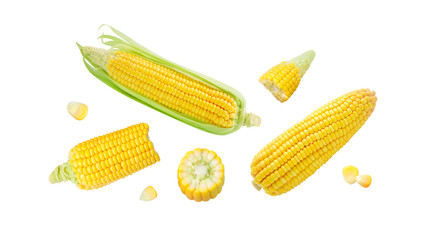 Wall Mural - Flying fresh corn with broken isolated on white background , clipping path.