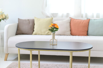 Poster - Modern Minimal clean clear contemporary white living room interior home interior design daylight background, white sofa furniture and flowers couch in living room daylight from window