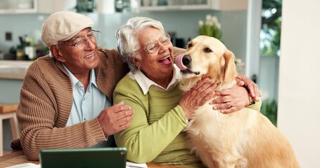 Poster - Old couple, dog and hug for love in home, paperwork and support for tax or asset management. People, pet care and affection for animal in kitchen, documents and together for insurance or planning