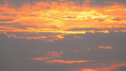 Poster - beautiful golden sky and sunlight in the morning