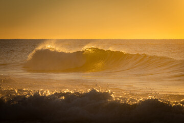 Wall Mural - Beautiful wave under the morning golden light.