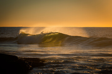 Wall Mural - Beautiful breaking wave in the morning.