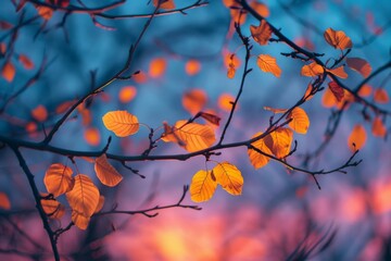 Canvas Print - Autumn Leaves at Sunset