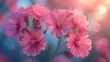 Magical atmosphere and soft light close up photo of beautiful sweet william flowers with nature concept background backdrop for your wedding, invitation, poster, banner project design