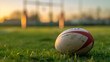 © Jane - A rugby ball on the grassy field