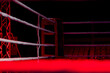 © .shock - Empty boxing ring with red ropes for match in the stadium arena. Creative artwork decoration. Foggy background with light. Selective focus