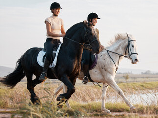 Poster - Equine, women and horses in countryside for riding, freedom and recreation for adventure as friends. River, females equestrian and stallion for training, sport and bonding with animals in farm