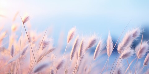 Poster - Feathery Grass in a Field of Pastel Colors