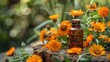 © The 2R Artificiality - Selective focus on calendula extract medicinal plant