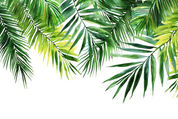 Poster - PNG  Palm leaves border nature backgrounds outdoors.