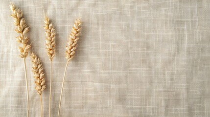 Minimalist wheat ear decoration on linen background Top view with space for text