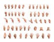 © valiantsin - Big gestures set, different hand signs pack isolated on white background., transparent PNG cutout