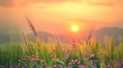 Wall Mural - A field of green grass with a sun in the sky