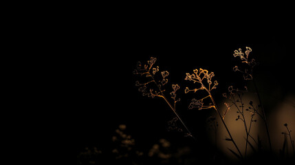 Wall Mural - A sunset is seen through a forest of trees. The sky is dark and the sun is setting