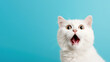 © Thanaphon - A white cat with its mouth wide open in shock or surprise.