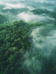 Wall Mural - Aerial view of dark green forest with misty clouds. The rich natural ecosystem of rainforest concept of natural forest conservation and reforestation - generative ai