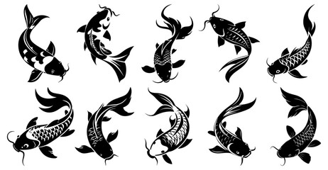 set of koi fish vectors