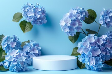 Wall Mural - mock up podium on vibrant blue background with hortensia